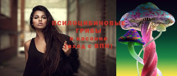 первитин Лабытнанги