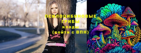 круглые Ладушкин