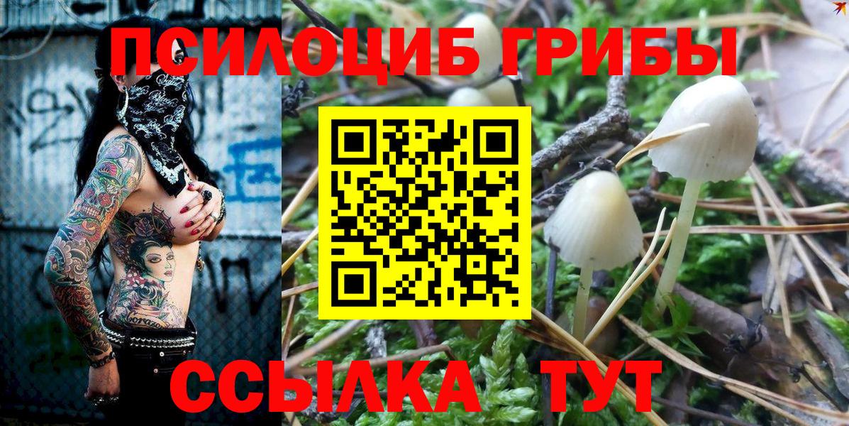 Галлюциногенные грибы GOLDEN TEACHER Янаул