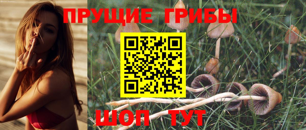 Псилоцибиновые грибы Psilocybine cubensis  Вход с VPN  Янаул 